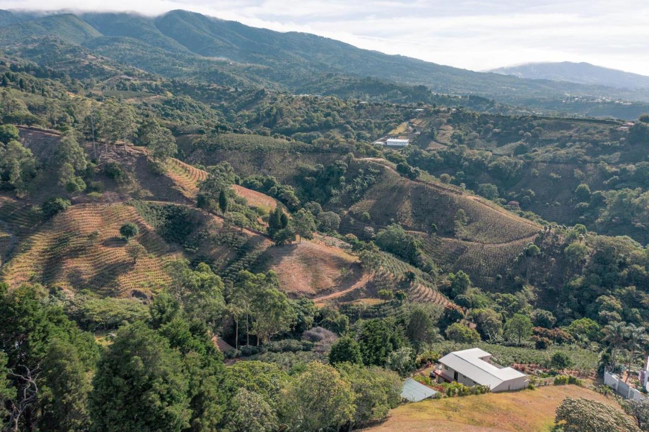 그레시아 Supercostarica 아파트 외부 사진